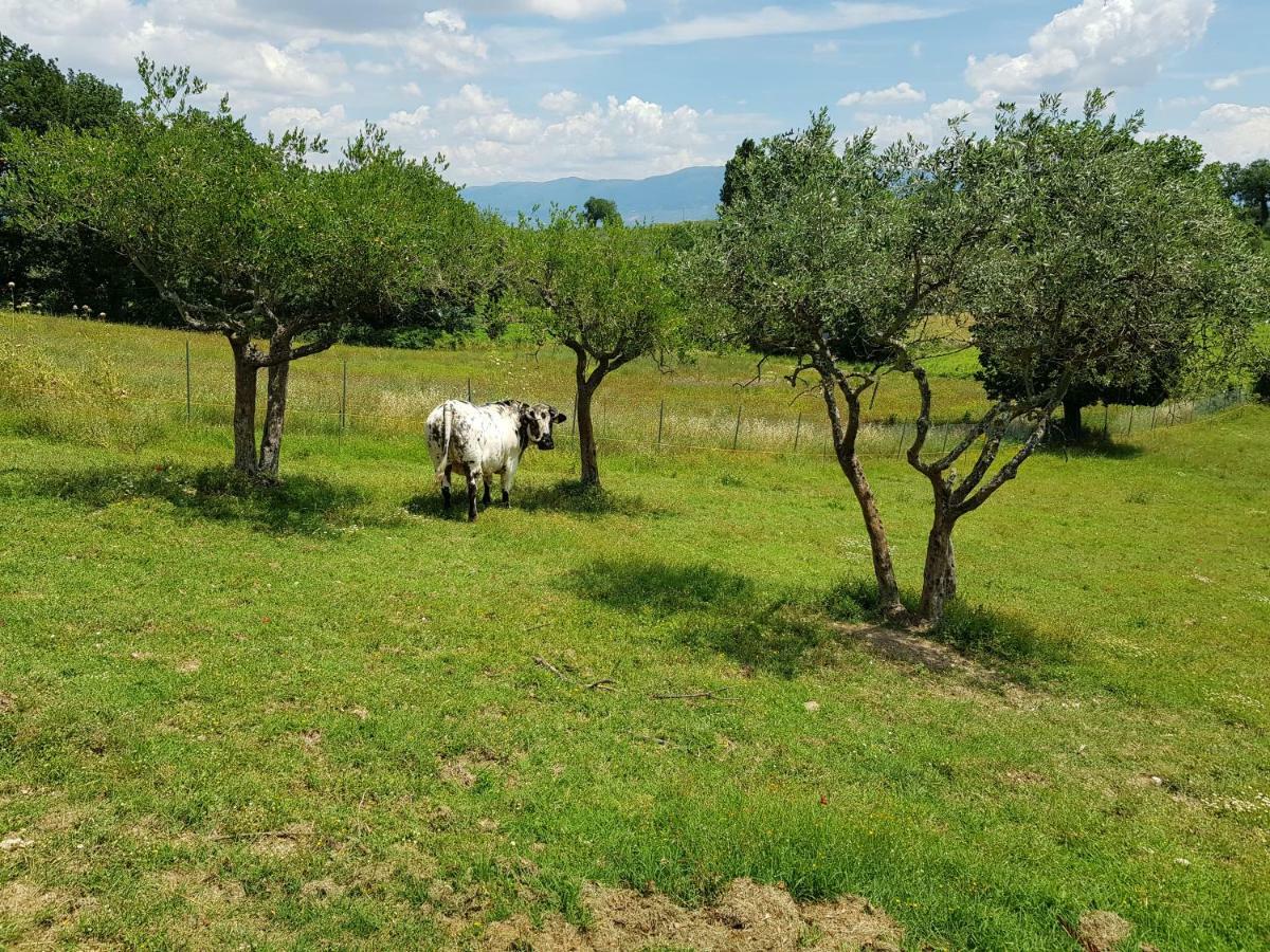 Agriturismo Arcobaleno Della Torretta Giano dell'Umbria Экстерьер фото