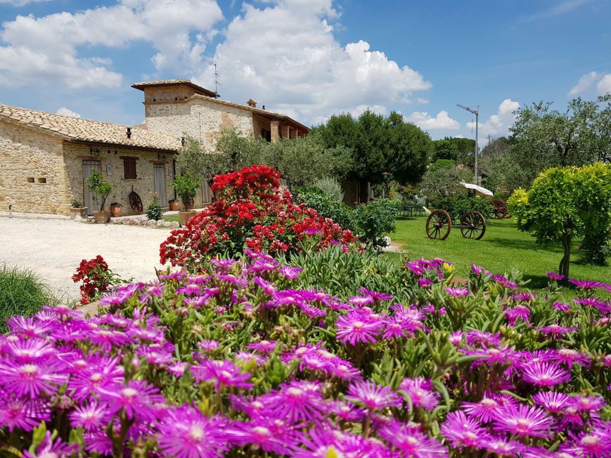 Agriturismo Arcobaleno Della Torretta Giano dell'Umbria Экстерьер фото